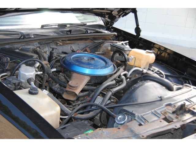 中古車 シボレー モンテカルロ ユーロモンテ New外 内装 Tバー の中古車詳細 ブラック 愛知県 168万円 中古車情報 中古車 検索なら 車選びドットコム 車選び Com