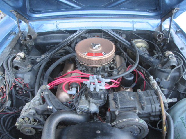 中古車 フォード マスタング コンバーチブル 2e G 1965年 の中古車詳細 ブルーm 愛知県 548万円 中古車情報 中古車検索なら 車選びドットコム 車選び Com