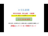 ポルテ 1.3 130i Cパッケージ HIDセレクション 検4/11総額31.3万■ナビTVBカメ