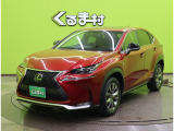 NX200t 200t Fスポーツ 【SDナビTV★マークレビンソン】