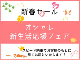 ミニ  ペッパーPKG ユニオンLED 地デジ