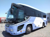 セレガ 観光バス モケリク、サロン、29人、トランク2室