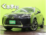 UX 250h バージョンL 【メモリーナビTV★セーフティシステム】