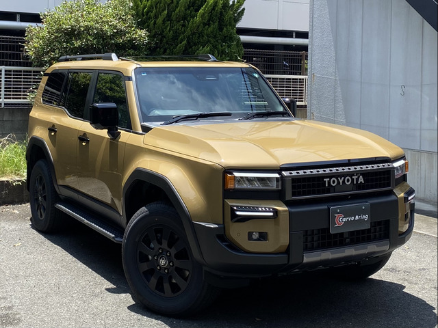250系ランクル　純正バックドアガーニッシュ　ブラック黒　ファーストエディション 楽天市場】【トヨタ純正】 バックドアガーニッシュ (ブラック