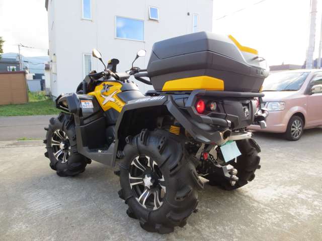 タイガースカラー_キューノQi_走行少_奇跡のコンディション（原付  