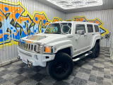 H3 タイプG 4WD 全国配送OK!追加カスタムOK