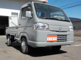 アクティトラック SDX 4WD 5MT フル装備 新品ゲートプロテクター