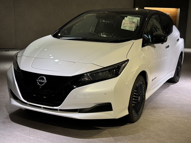 リーフ（日産）の中古車 | 中古車情報・中古車検索なら【車選び