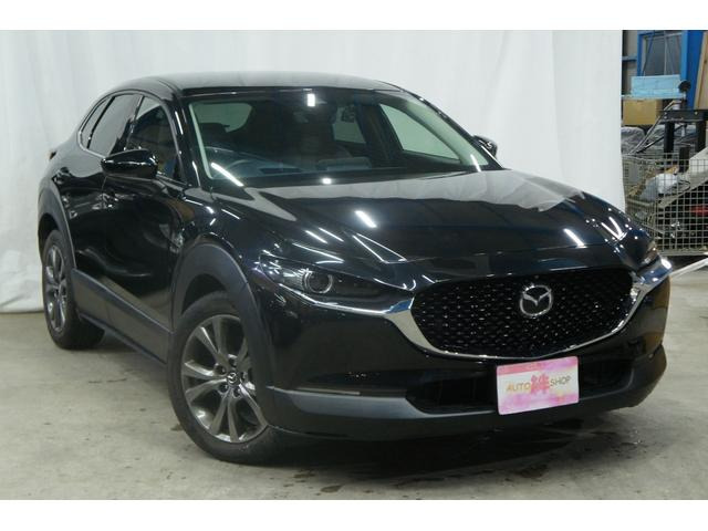 CX-30 2.0 X プロアクティブ ツーリングセレクション 360°カメラ ナビ ドライブ...