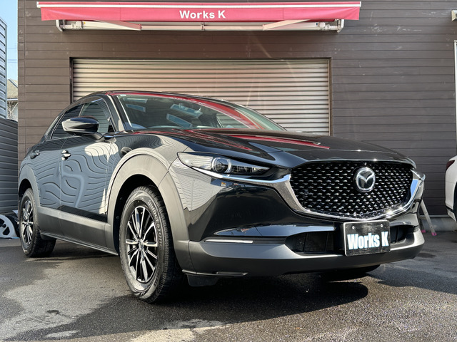 CX-30 2.0 20S プロアクティブ 純正ナビ 全方位カメラ BOSEサウンド