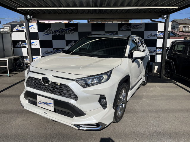 RAV4 2.0 G Zパッケージ 4WD モデリスタフルエアロ ダウンサス LED