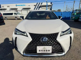 UX 250h バージョンC 