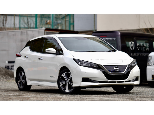 リーフ X 10万台記念車 セグ残11