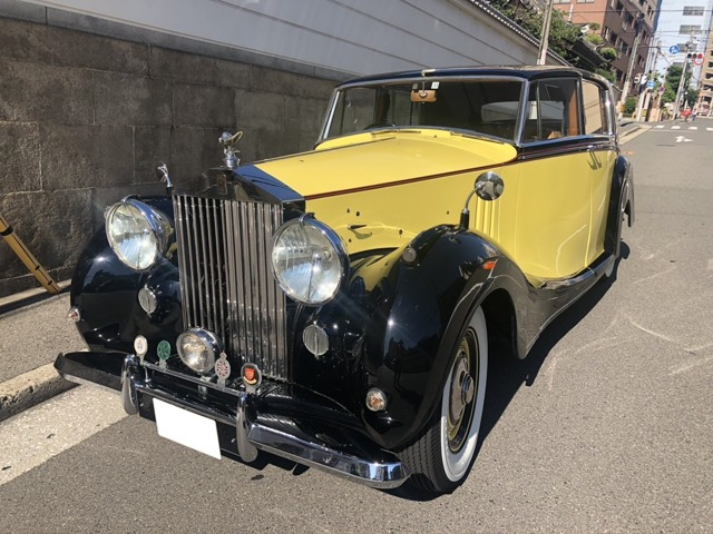 シルバーレイス  