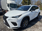 NX 300h Fスポーツ 4WD 雹害車