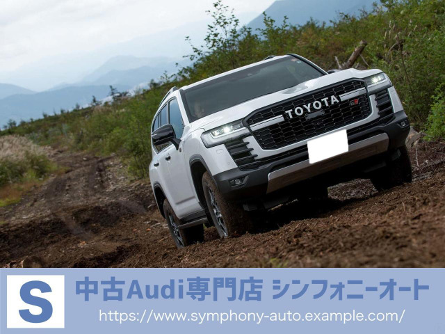 ランドクルーザー300 3.3 GRスポーツ ディーゼル 4WD モデリスタエアロ GR専用赤黒革...