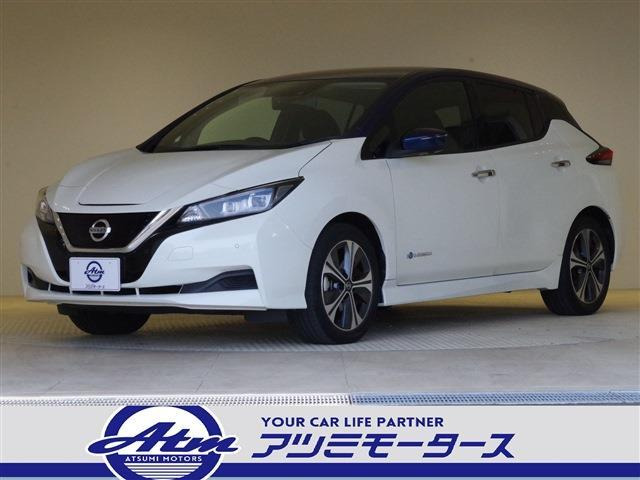 リーフ（日産）の中古車 | 中古車情報・中古車検索なら【車選び