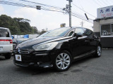 DS5 シック シック