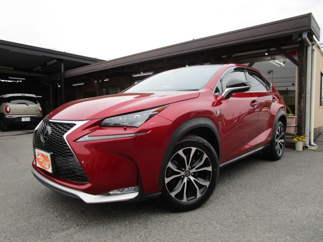 NX 200t Fスポーツ ナビ フルセグ クルコン BSM ETC