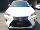 NX 300h スパイス&シック 4WD HDDナビ地デTV本革Pシートマッドタイ