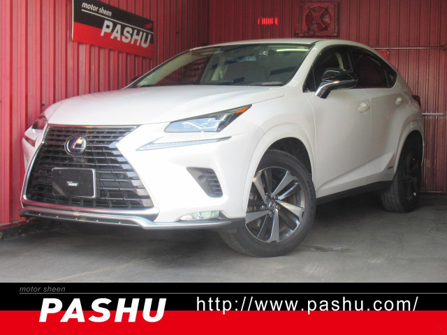 NX 300h スパイス&シック 4WD HDDナビ地デTV本革Pシートマッドタイ