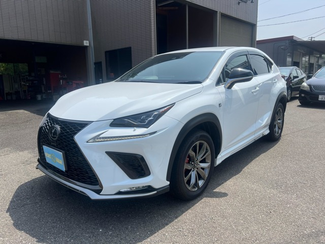 NX 300 Fスポーツ 4WD 3眼LED 全周囲カメラ