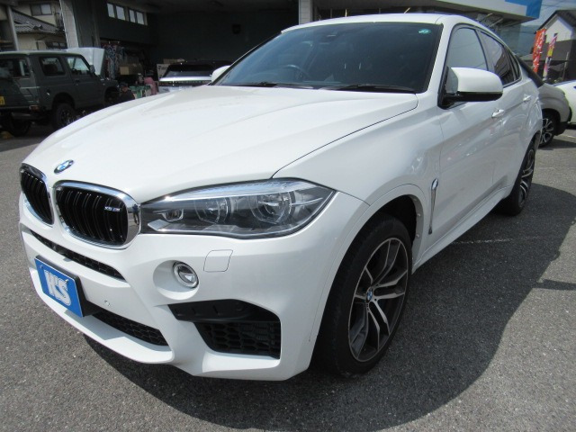 X6 M  M 4.4 4WD