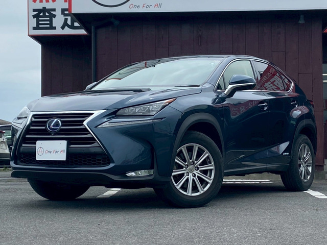 NX 300h Iパッケージ 