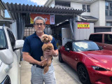 デイズルークス  S Aftermarketナビ 衝突軽減センサー スマートキー 左右パワースライドドア