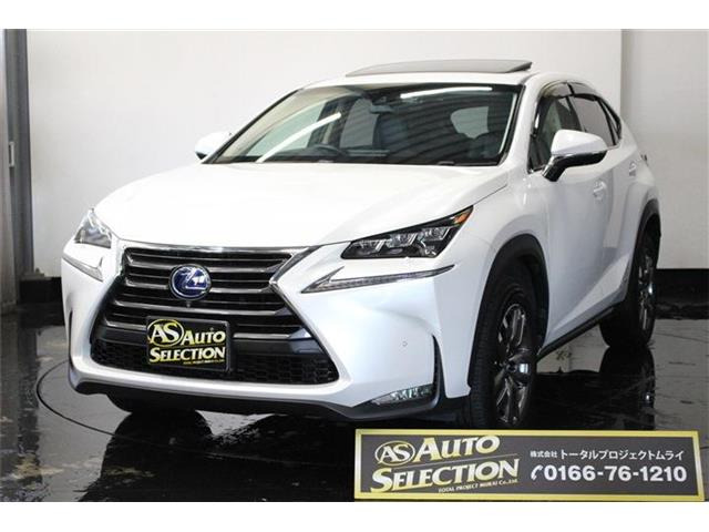 NX300h Iパッケージ 4WD寒冷地仕様車 ムーンルーフ