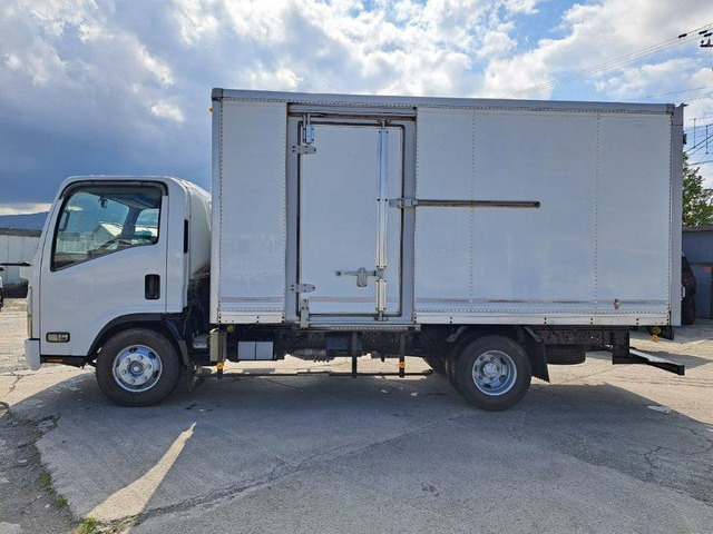 ハーヴェスト・エルフ 4枚 i-img600x450-