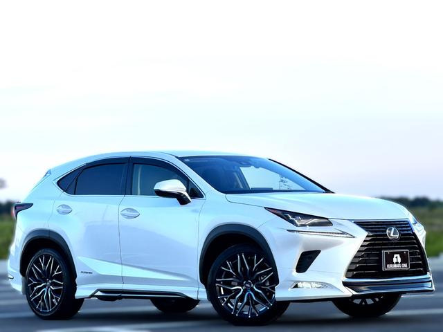 NX 300h Iパッケージ 法人1オーナー車 モデリスタアフルエアロ