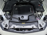 →CLS53専用AMGスタイリングパッケージ(フロントスポイラー、サイド&リアスカート)、ガラススライディングルーフ(挟込防止機能付)、本革シート(ナッパレザー・レッドステッチ)→