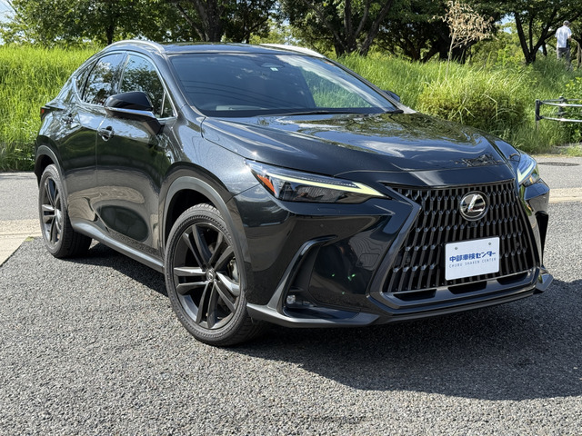 NX 250 バージョンL 1オーナー・3眼LED・赤黒シート・禁煙