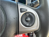 標準装備でクルーズコントロールが付いております。速度を設定すれば車が自動でその速度を維持してくれます。高速道路で是非試してみて下さい。結構楽です。