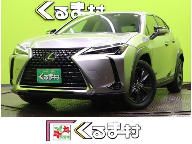 UX 250h バージョンC 【10.3型メモリーナビTV★合皮】