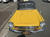 S800  オープン リジットタイプ国内物