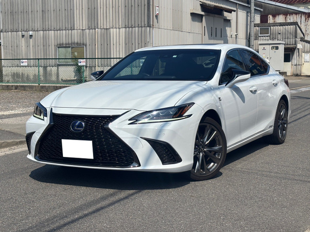 ES300h Fスポーツサンルーフ メーカーナビ Bカメラ