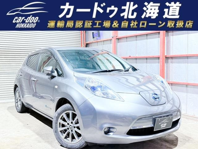 リーフ 30kWh X 下廻防錆TVナビBカメETC夏冬タイヤ