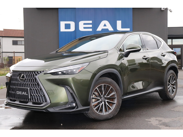 NX 250 バージョンL LEDヘッド・バックカメラ・クリアランス