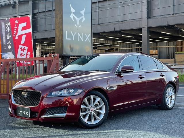 XF20d ピュア黒革 木目調パネル Bカメラ TV ナビ