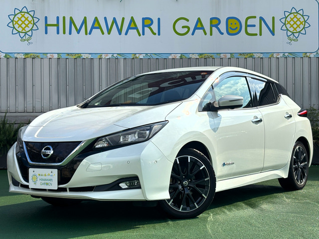 リーフGプロパイ/エマブレ/全方位C/BSM