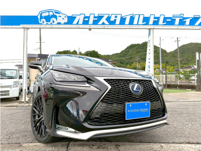 NX 300h Iパッケージ 衝突軽減/革シート/ガラスルーフ/ナ/