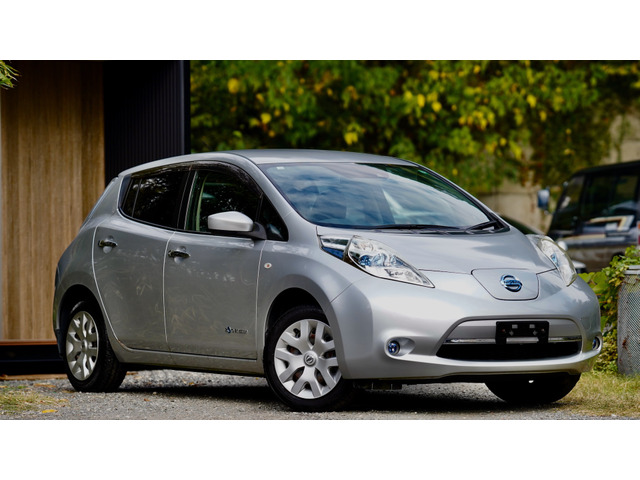 リーフ30kWh Xセグ残11 満充電161km ETC