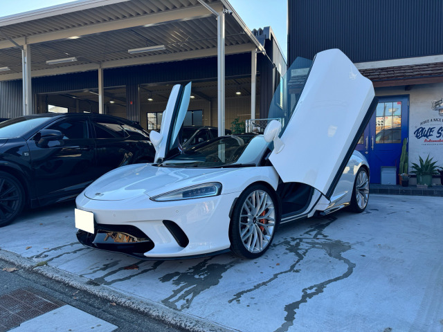 GTGT エレクトロニックガラスルーフ