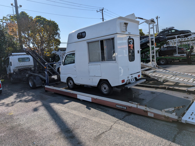 エルフ  フラトップ