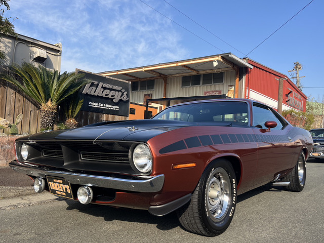 /その他 プリムス  AARクーダ 340 6-パッ