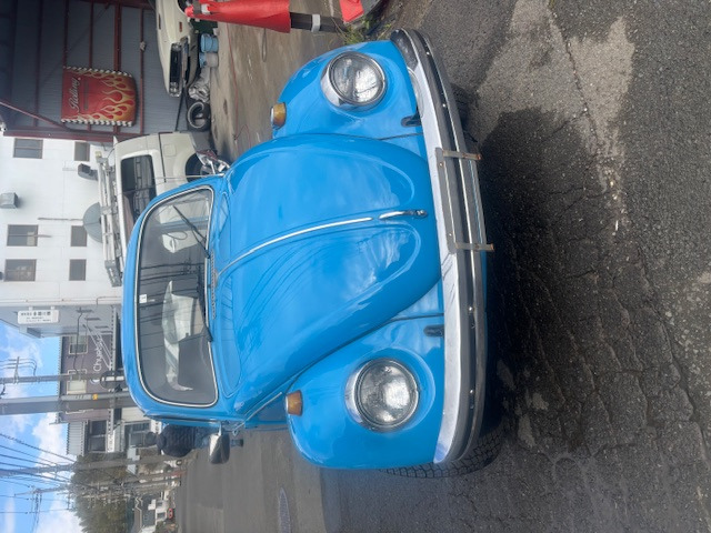 ビートル  アイロンテール ディーラー車