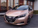 【中古車情報】日産 リーフ X Vセレクション プロパイロット純正ナビTV全方位カメラ の中古車詳細（走行距離：1.5万km、カラー：ゴールド、販売地域：岐阜県岐阜市石長町）