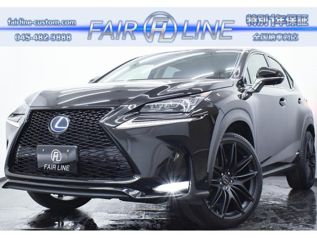 NX300h IパッケージFスポーツ仕様BLACKカスタムフェイス